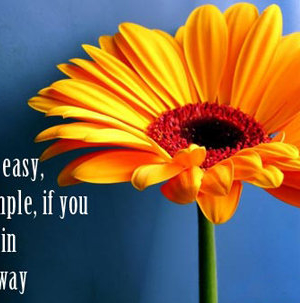 cover CV: Nguyễn Thị Thùy Dương