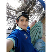 cover CV: Ngô Minh Triết