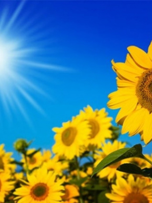 cover CV: Nguyễn Kim Hiếu