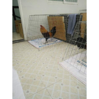 cover CV: Huỳnh Văn Nghiệm