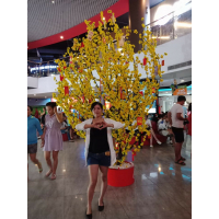 cover CV: Phạm Cẩm Nhung