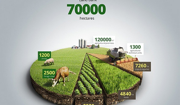 Infographic là gì? Những điều cần biết về Infographic