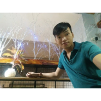 cover CV: Lê Hoàng Vũ