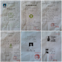 cover CV: Vũ Văn Lục