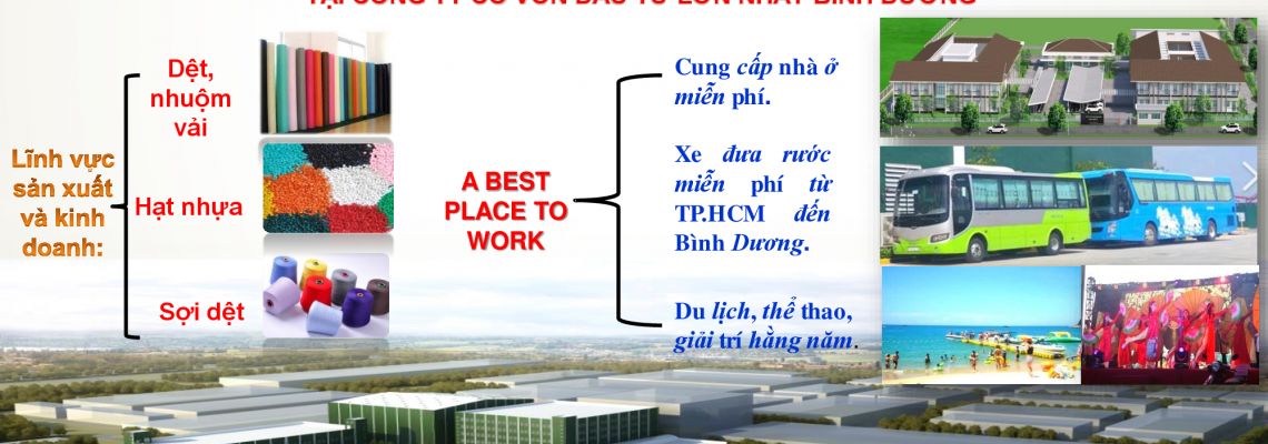 Công ty TNHH Polytex Far Eastern (Việt Nam)