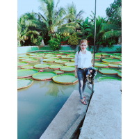 cover CV: Trần Thị Ngọc Điệp 