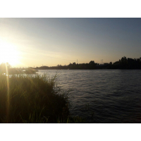 cover CV: Võ Văn Hậu