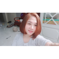 cover CV: Diệp Phạm Hồng đào