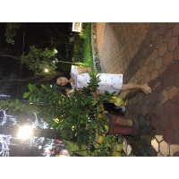 cover CV: Nguyễn Thị Thái 