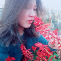 cover CV: Nguyễn Thị Kim Vi