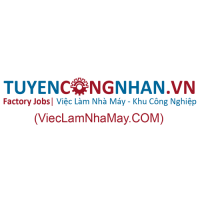 cover CV: Lê Mạnh Hùng