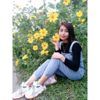cover CV: Nguyễn Thị Ngọc