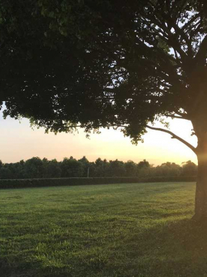 cover CV: NGUYEN MINH NAM