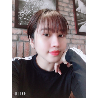 cover CV: Thạch Diễm Hương 