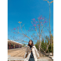 cover CV: Uyên Trần
