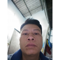 cover CV: Hồ Băng đăng