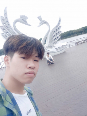 cover CV: Daoquyenanh12345@gmail.com