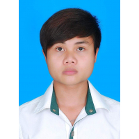cover CV: Sơn Lê