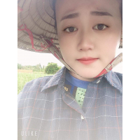 cover CV: Phạm Hồng Lan