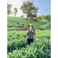 cover CV: Trần Văn Dũng 