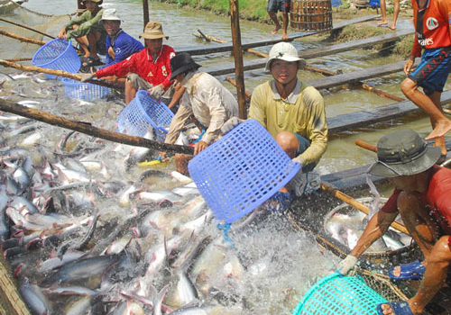 Ngành thủy sản Việt Nam phát triển cần nhiều kỹ sư giỏi