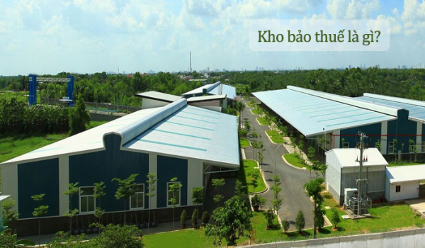 Kho bảo thuế là gì? Và 5 thông tin hữu ích cần biết