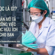 FQC là gì? Bản mô tả công việc FQC hữu ích cho bạn