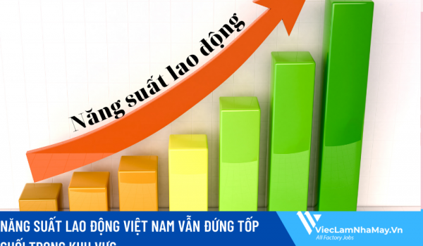 Năng suất lao động Việt Nam đứng tốp cuối trong khu vực