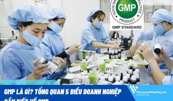 GMP là gì? Tổng quan 5+ điều doanh nghiệp cần biết về GMP