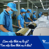 Làm việc thời vụ là gì? Tìm việc làm thời vụ Tết ở đâu?