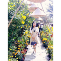 cover CV: Phạm Vân Anh 