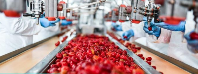 Phát triển bền vững trong ngành thực phẩm và đồ uống: Tại sao nó là một xu hướng quan trọng?