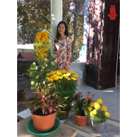 cover CV: Hoang Oanh Nguyen Thi