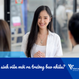 Lương sinh viên mới ra trường bao nhiêu?