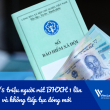 3,5/5 triệu người rút BHXH 1 lần và không tiếp tục đóng mới