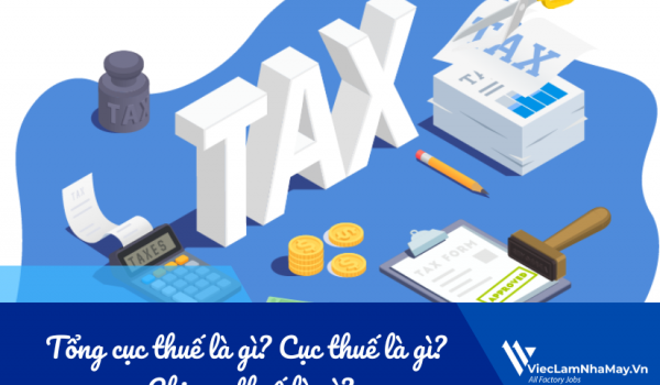 Tổng cục thuế là gì? Cục thuế là gì? Chi cục thuế là gì? Và những điều kế toán cần biết