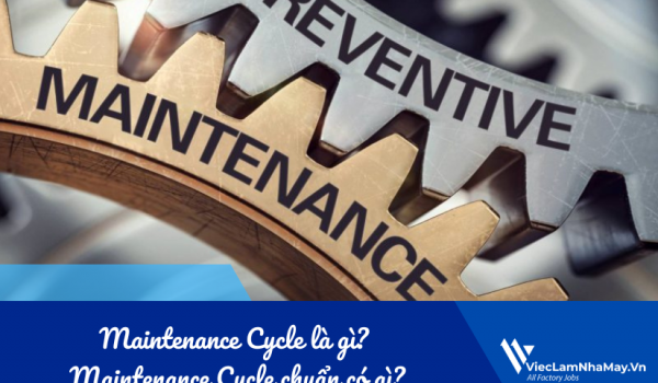 Maintenance Cycle là gì? Maintenance Cycle chuẩn gồm những công việc gì?