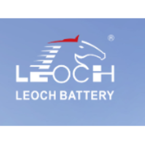 CÔNG TY TNHH LEOCH SUPER POWER (VIỆT NAM) 