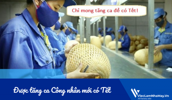  Được tăng ca Công nhân mới có Tết