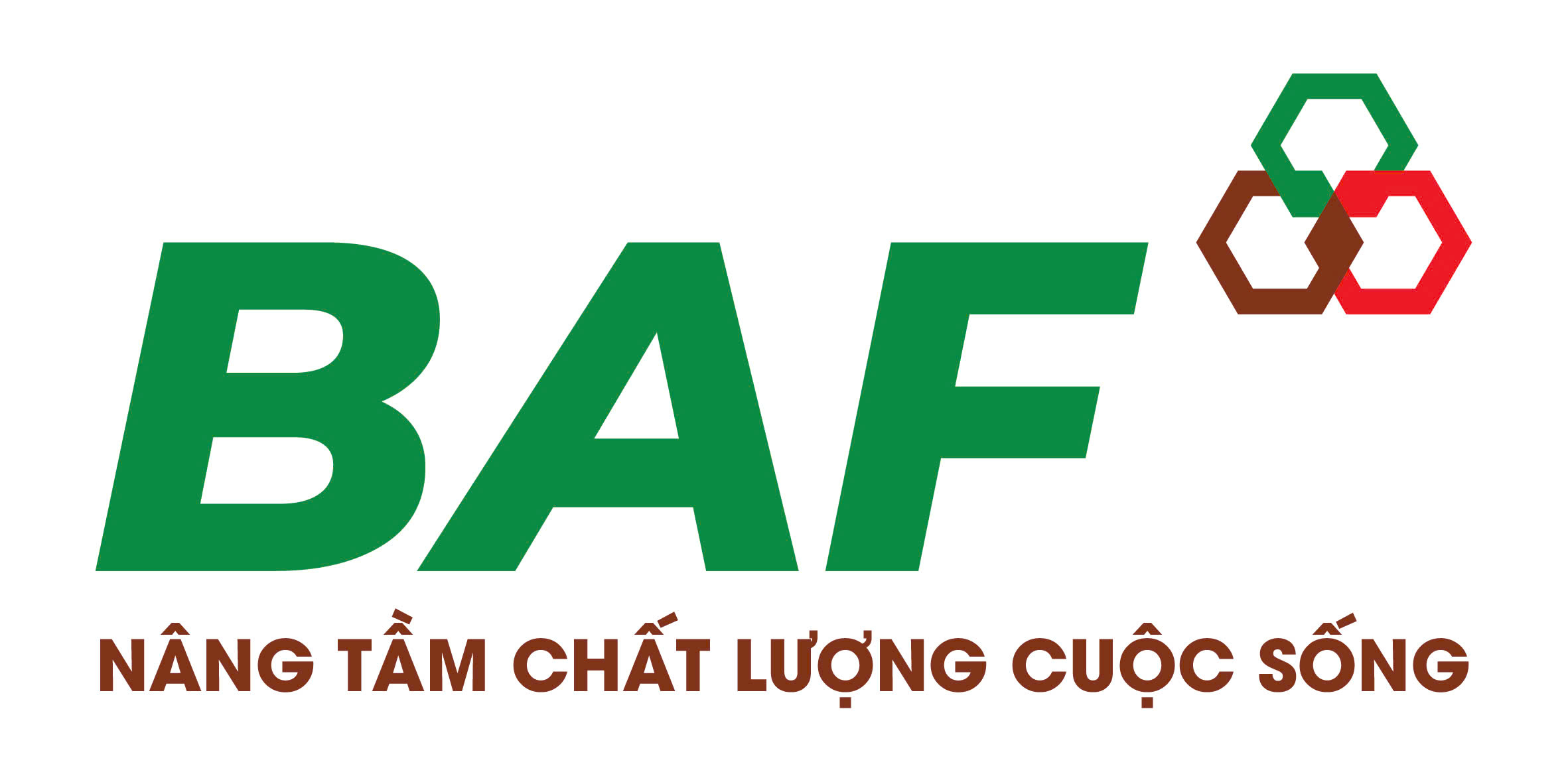 CÔNG TY CỔ PHẦN NÔNG NGHIỆP BAF VIỆT NAM