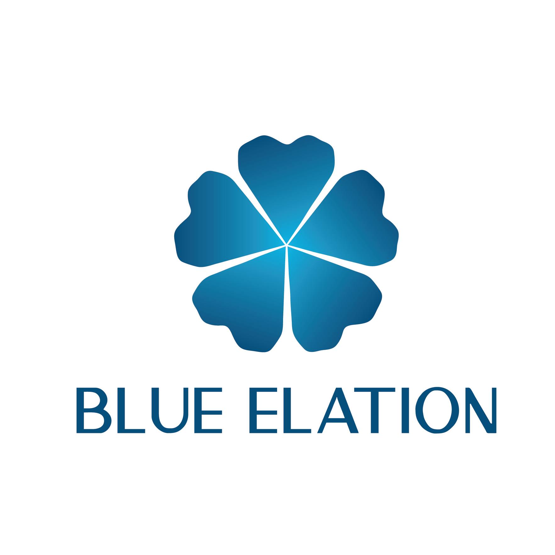 CÔNG TY TNHH BLUE ELATION