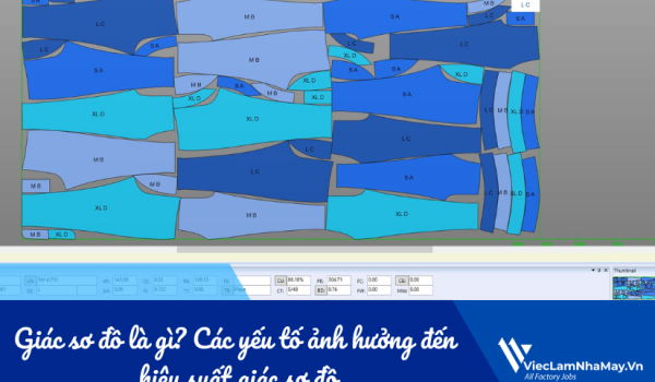 Giác sơ đồ là gì? Tiết lộ các yếu tố không tưởng ảnh hưởng đến hiệu suất giác sơ đồ