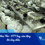 Sưu tầm Thơ - STT hay, cảm động đời công nhân