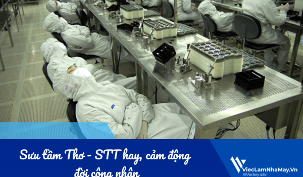 Sưu tầm Thơ - STT hay, cảm động đời công nhân