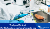 Trưởng ca QC là gì? Mô tả công việc và mức lương trong nhà máy
