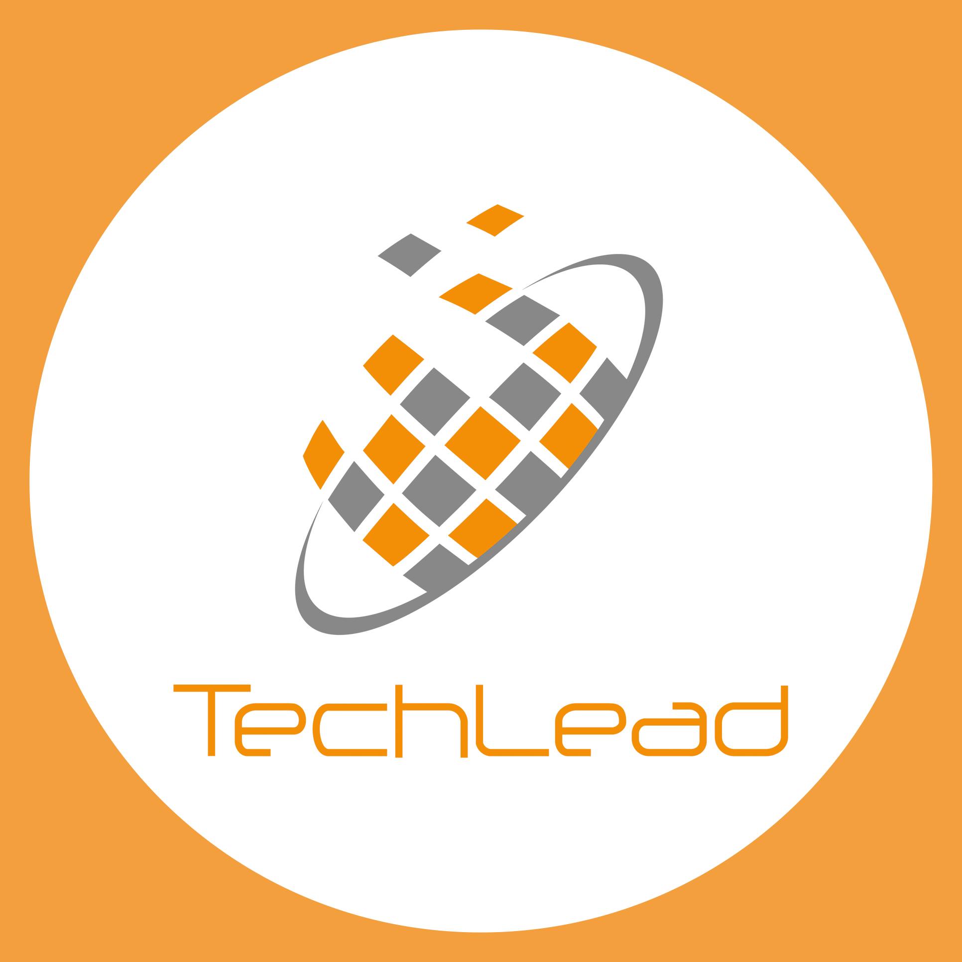 CÔNG TY CỔ PHẦN TECHLEAD