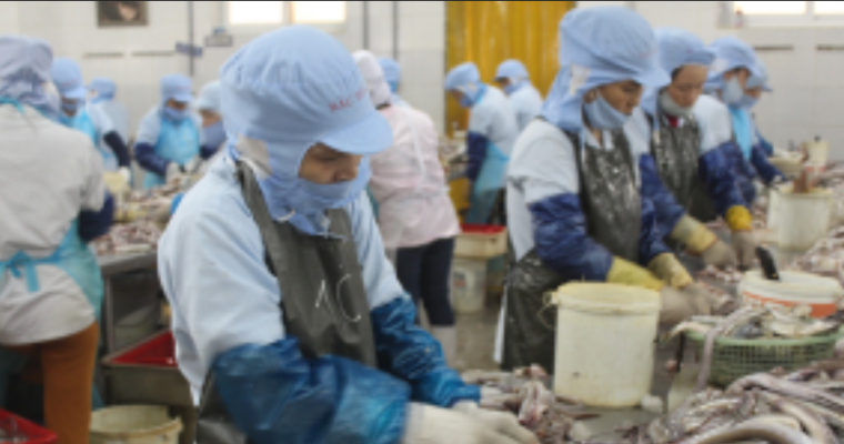 Công ty TNHH Bắc Đẩu
