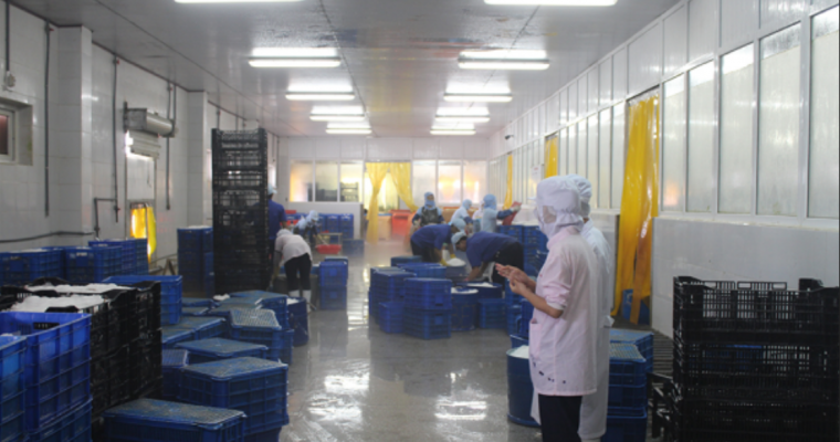 Công ty TNHH Bắc Đẩu