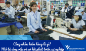 Công nhân kiểm hàng là gì? Mô tả công việc và cơ hội phát triển sự nghiệp