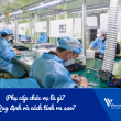 Phụ cấp chức vụ là gì? Quy định và cách tính ra sao?
